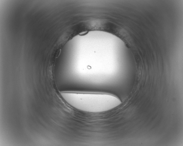 X0000067950473200604131207