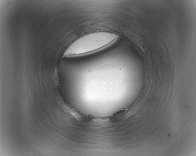 X0000067950480200604131207