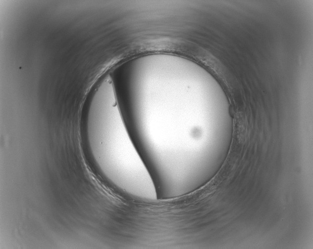 X0000067950482200604131207