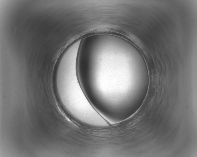X0000067950485200604131207