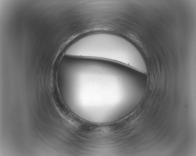 X0000067950492200604131206