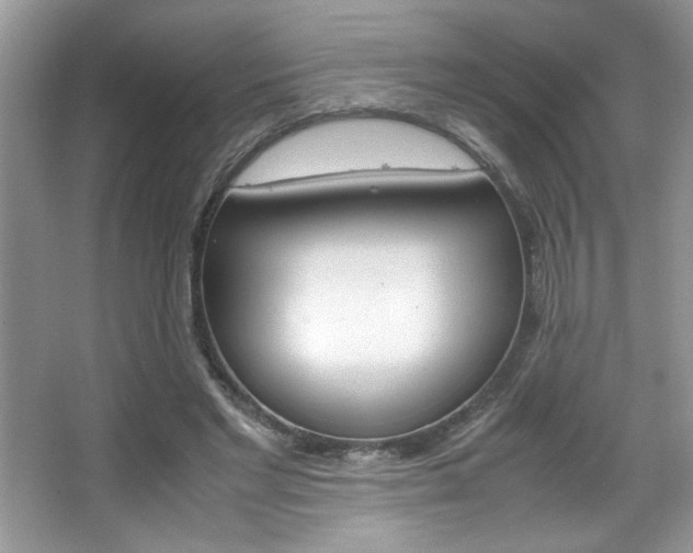 X0000067950493200604131206