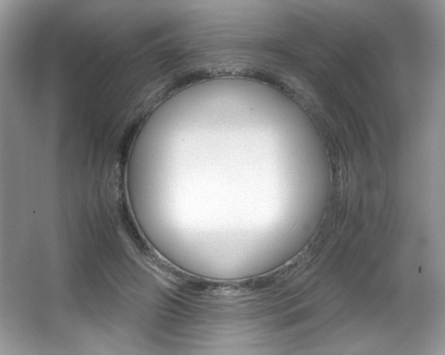 X0000067950498200604131206