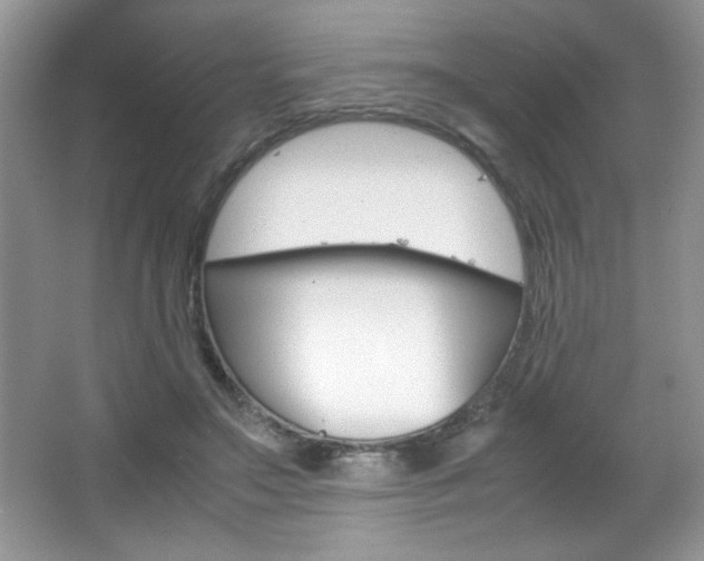 X0000067950499200604131206