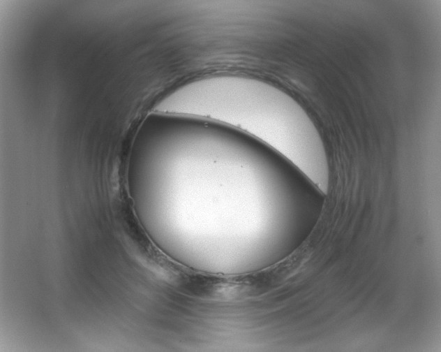 X0000067950504200604131206