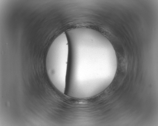 X0000067950506200604131206