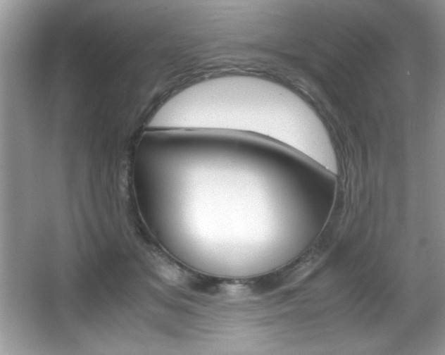 X0000067950509200604131206