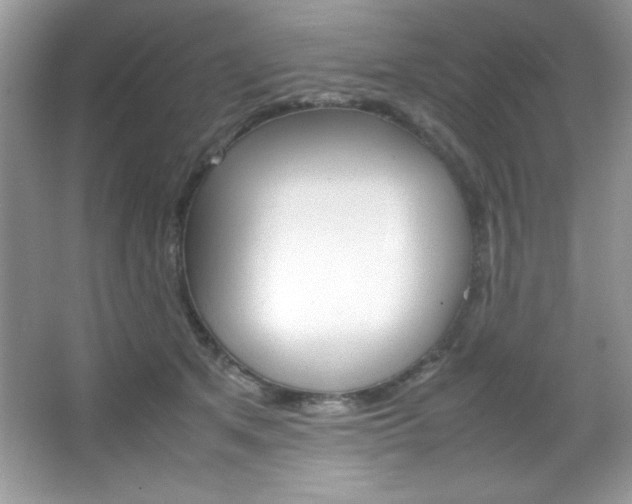 X0000067950513200604131206