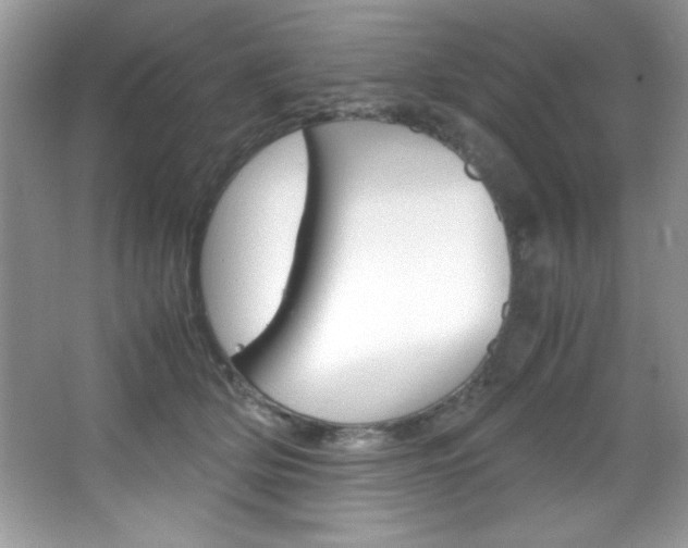 X0000067950514200604131206