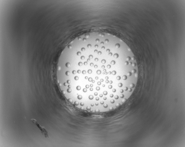 X0000067950519200604131206