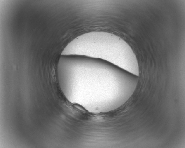 X0000067950523200604131206