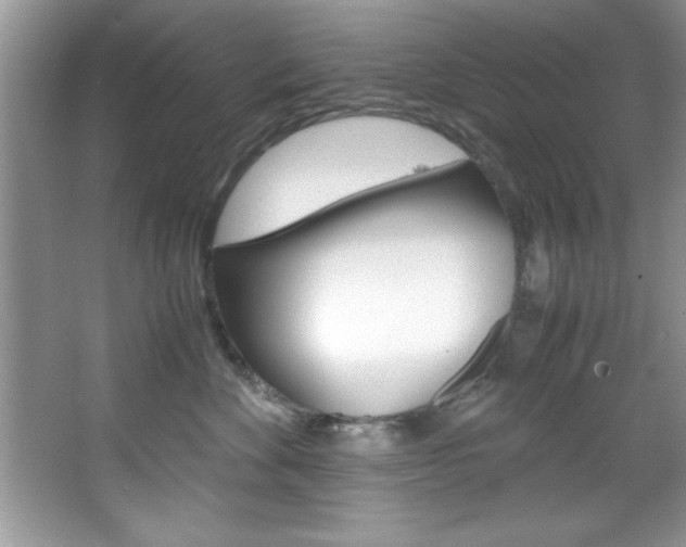 X0000067950524200604131206