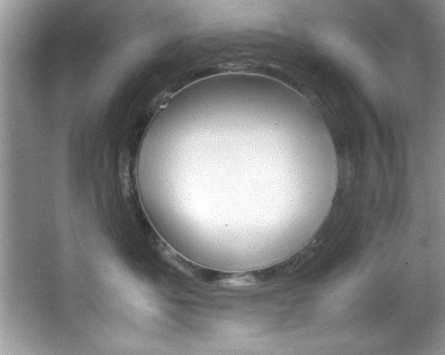 X0000067950525200604131206