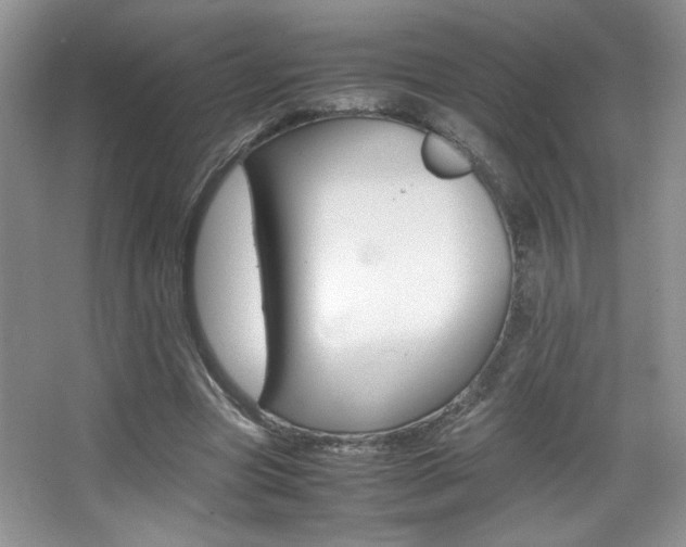 X0000067950537200604131205