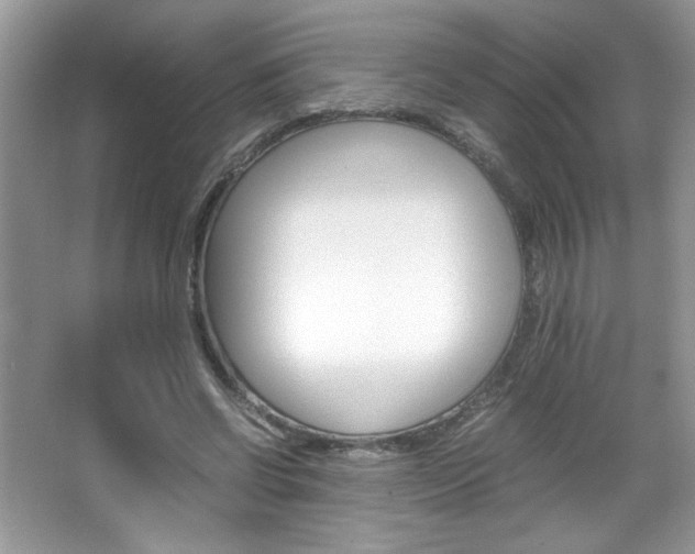 X0000067950542200604131205