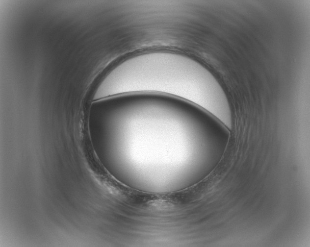 X0000067950544200604131205
