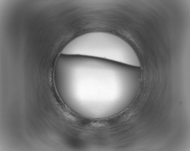 X0000067950545200604131205