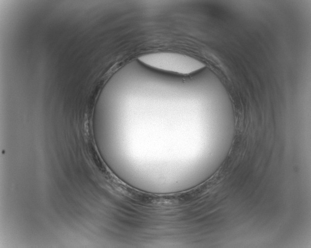 X0000067950549200604131205