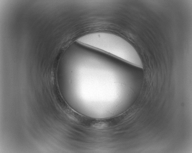 X0000067950551200604131205