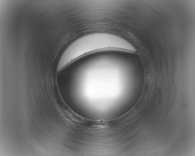 X0000067950552200604131205
