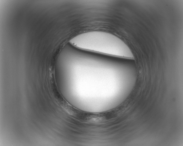 X0000067950555200604131205