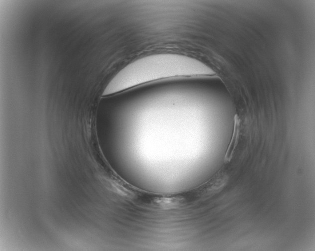 X0000067950558200604131206