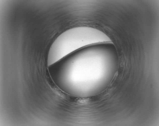 X0000067950560200604131206