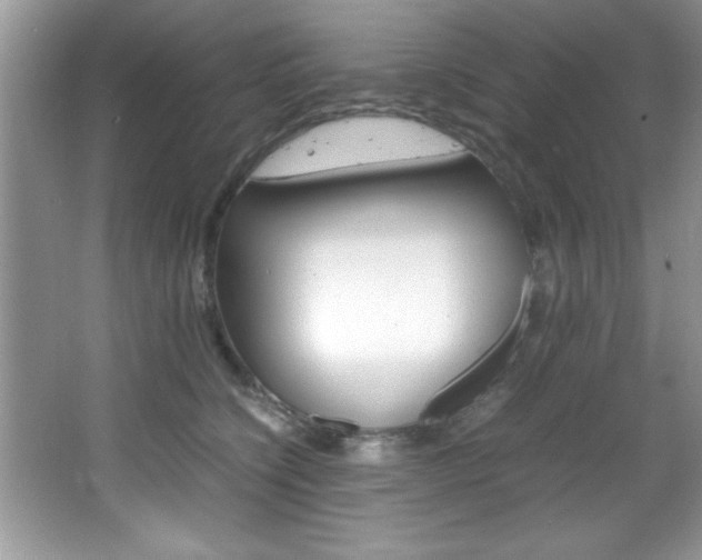 X0000067950564200604131206