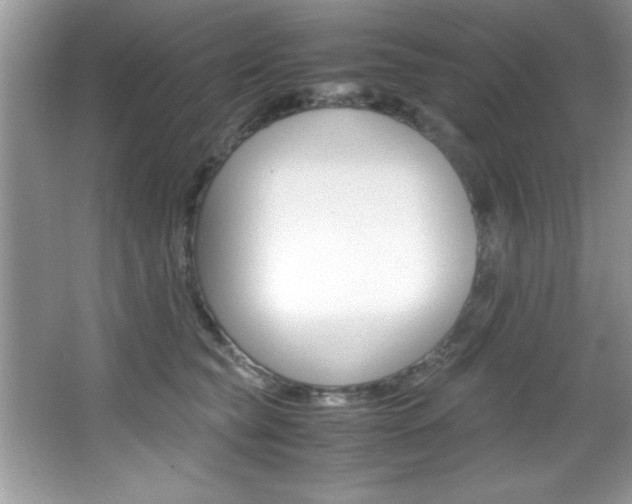 X0000067950565200604131206