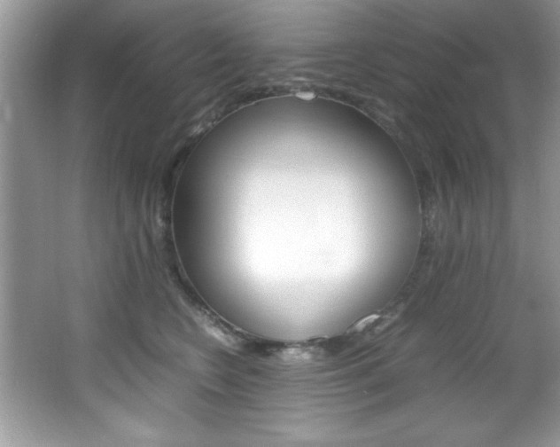 X0000067950566200604131206