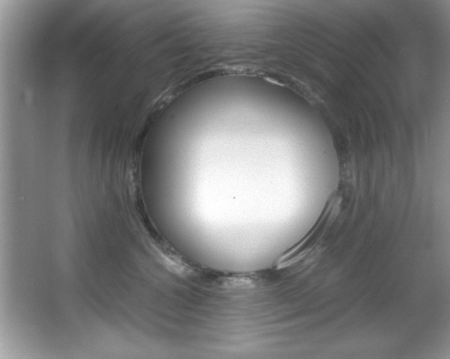 X0000067950572200604131206