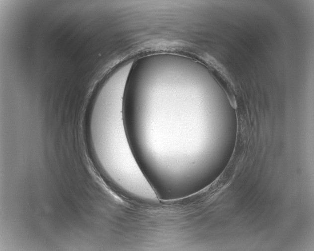 X0000067950581200604131205