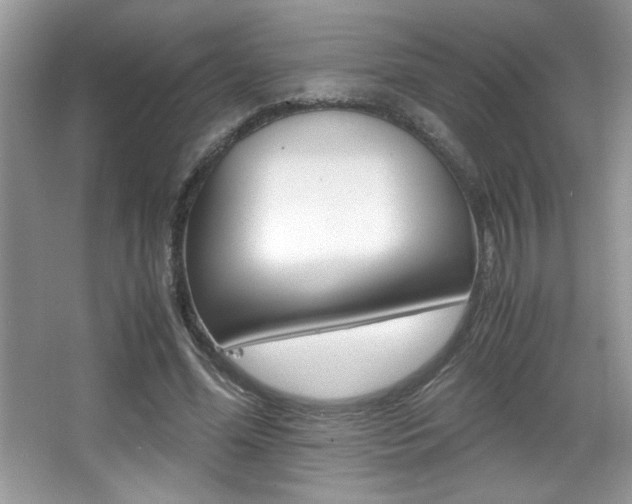 X0000067950588200604131205