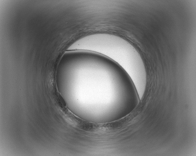 X0000067950593200604131205