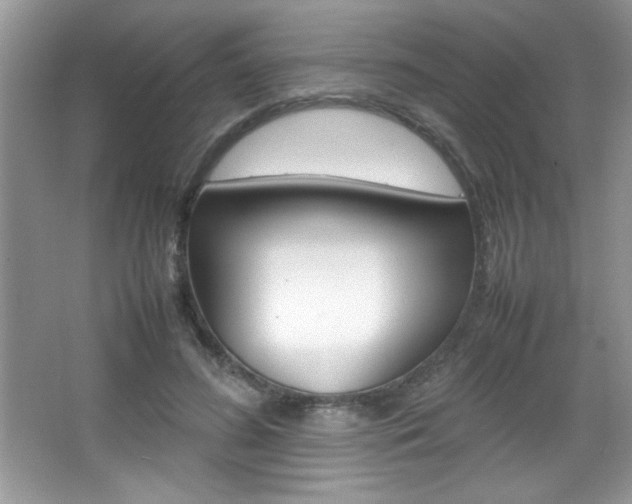 X0000067950596200604131205