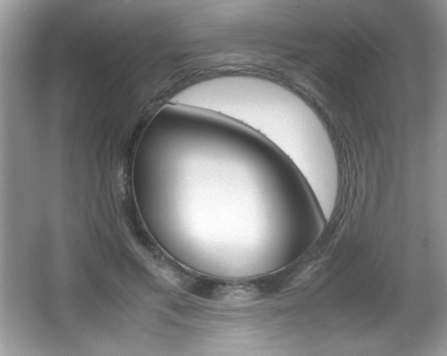 X0000067950597200604131205