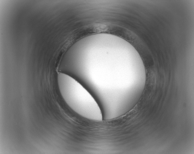 X0000067950598200604131205