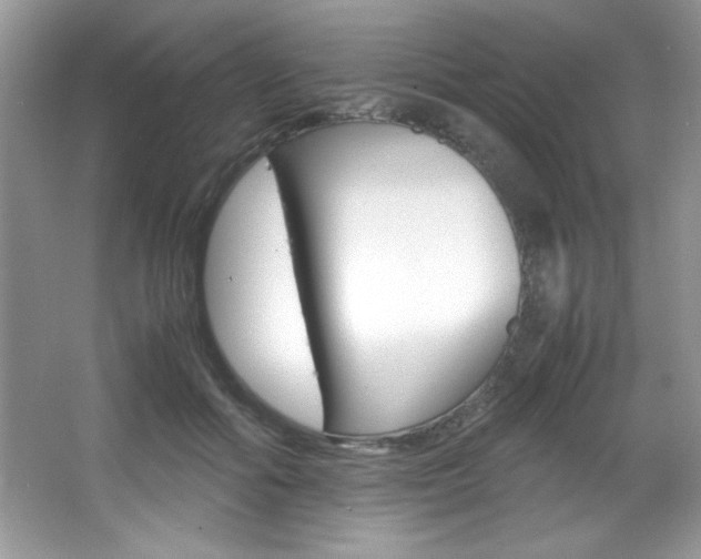 X0000067950602200604131205