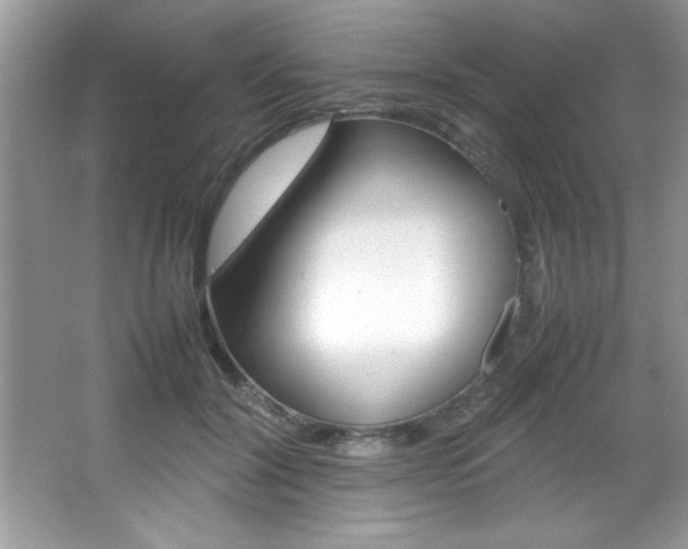 X0000067950604200604131205
