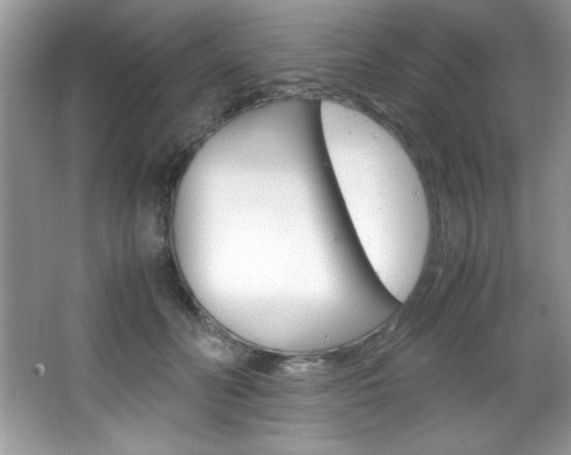 X0000067950606200604131204
