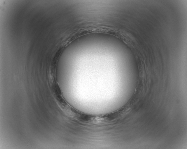 X0000067950607200604131204
