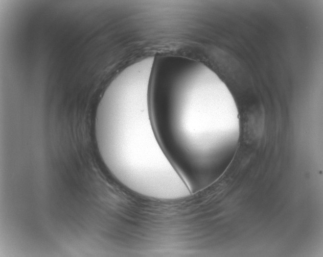 X0000067950608200604131204