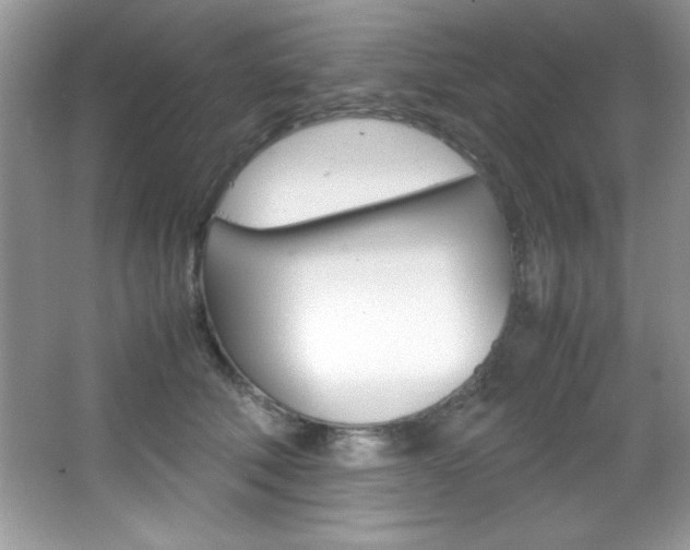 X0000067950610200604131204