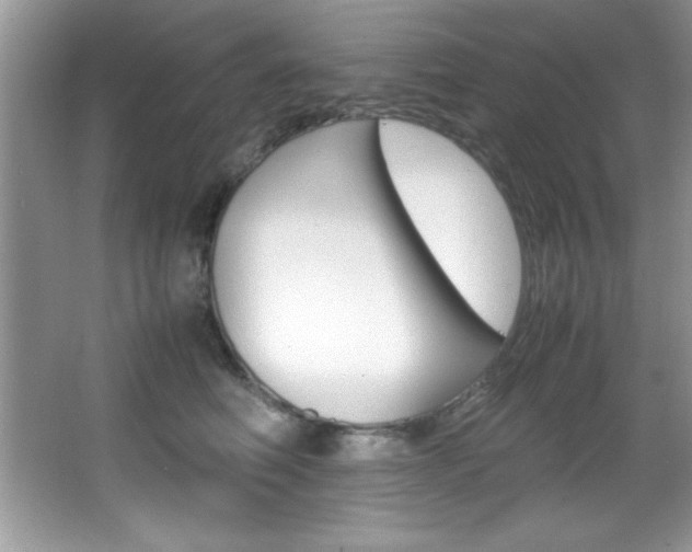 X0000067950614200604131204