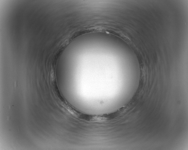 X0000067950617200604131204