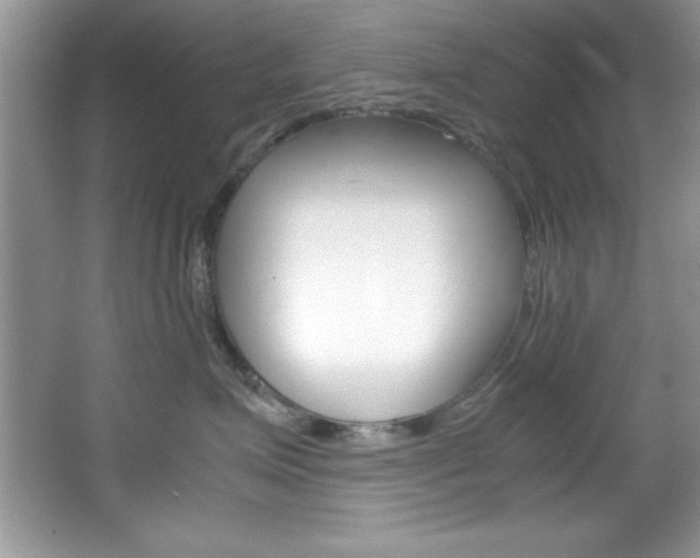 X0000067950623200604131204