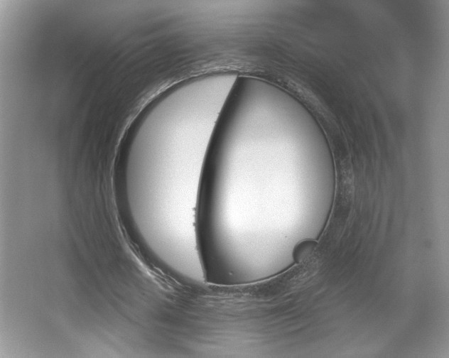 X0000067950626200604131203