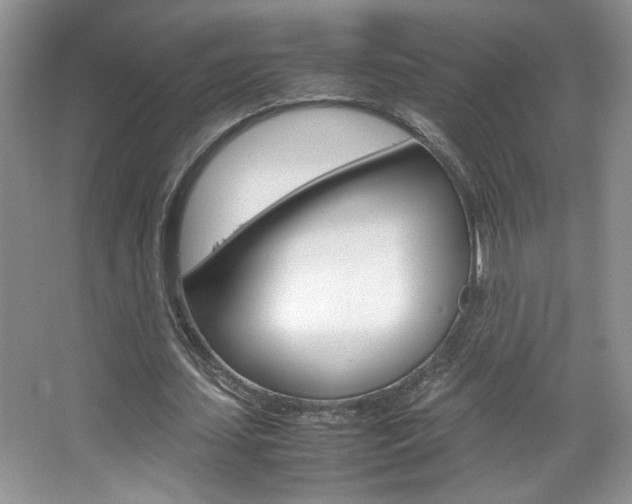 X0000067950627200604131203