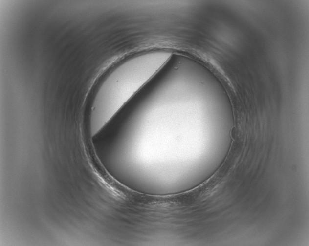 X0000067950629200604131203