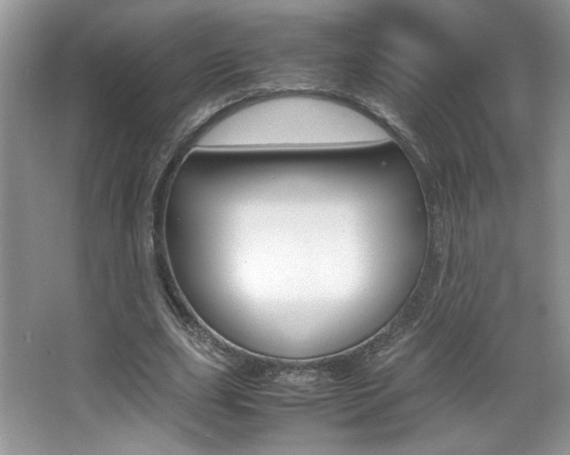 X0000067950631200604131203